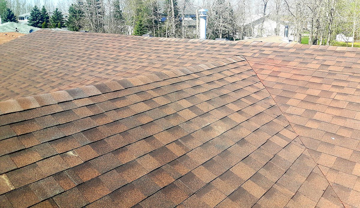 3-1-roofer-roofing-contractor-roof-quote-estimate-roof-leak-repair---redwater-gibbons-AB-bon-accord-AB-waskatenau-smoky-lake-lamont-legal-fort-saskatchewan